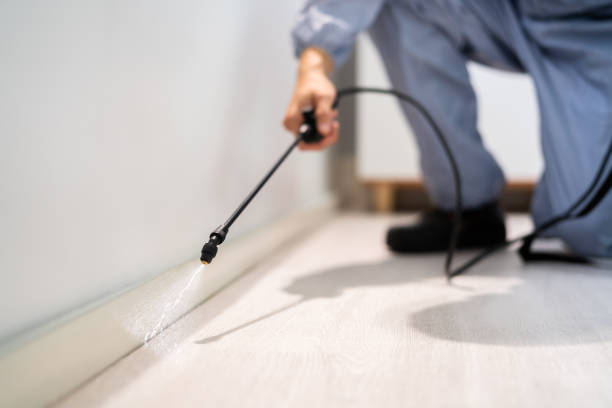 Licensed Fumigation Services service in Yucca Valley, CA - Nex Pest Control