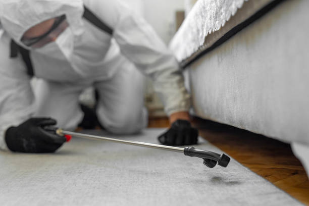 Professional Fumigation Services technician working in Yucca Valley, CA