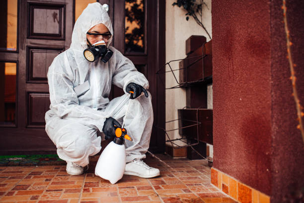 Reliable Fumigation Services contractor in Yucca Valley, CA by Nex Pest Control