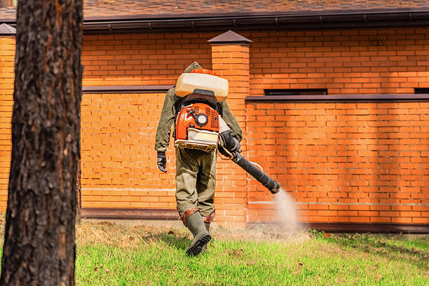 Trusted Bed Bug Control service in Yucca Valley, CA - Nex Pest Control
